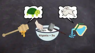 Katı mı Sıvı mı? Newtonsal Olmayan Akışkanlar Katı mı Sıvı mı Görsel