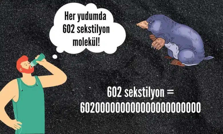 Kimyanın Uçsuz Bucaksız Birimi: Mol Sayısı Mol Sayısı Kapak Görseli