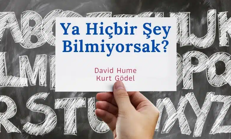 Ya Hiçbir Şey Bilmiyorsak? Ya Hiçbir Şey Bilmiyorsak Kapak Görseli
