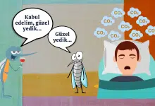 Sivrisinek Kapak Görseli
