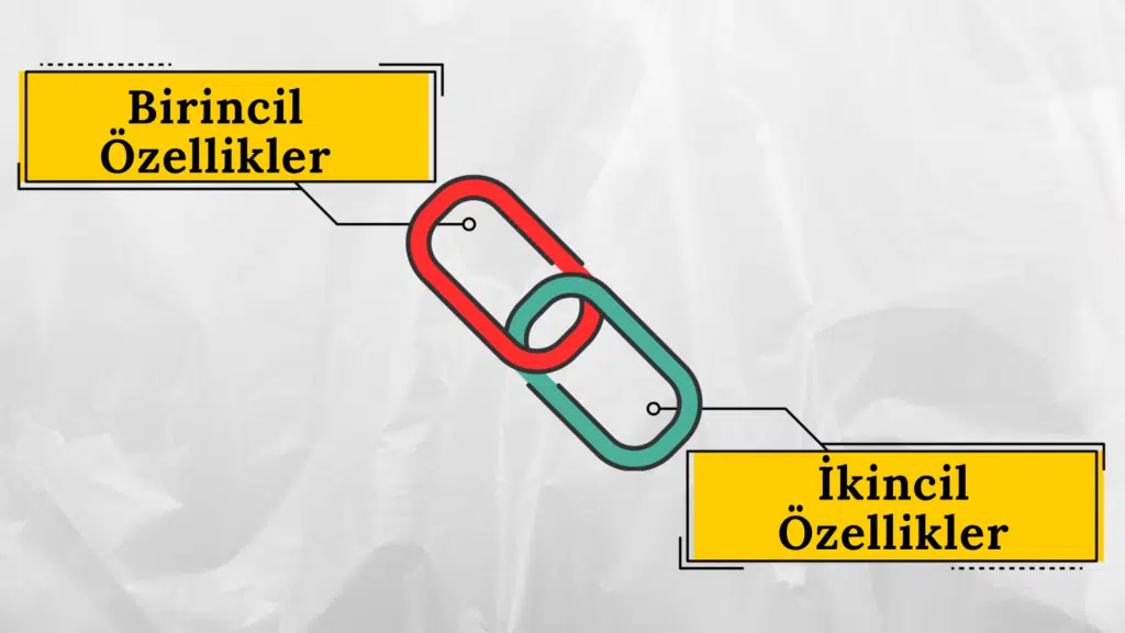 Biz Bakmadığımızda Nesneler Ne Yapıyor? Birincil ve İkincil Özellikler