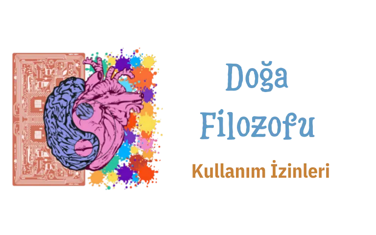 Kullanım İzinleri 6