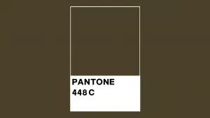 Podcast Pantone 449 C