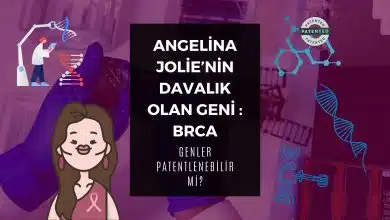 Angelina Jolie’nin Davalık Olan Geni: BRCA Angelina Jolie Kapak