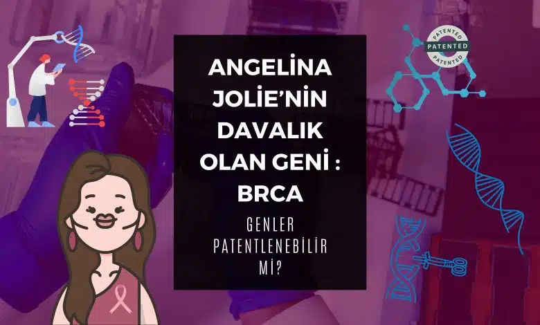 Angelina Jolie’nin Davalık Olan Geni: BRCA Angelina Jolie Kapak