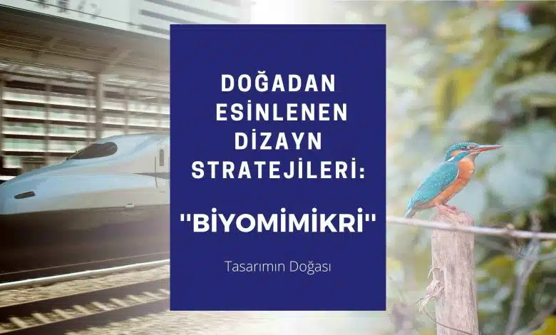 Doğadan Esinlenen Dizayn Stratejileri: Biyomimikri Banner 4 1