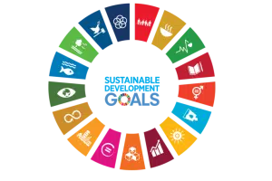 Doğadan Esinlenen Dizayn Stratejileri: Biyomimikri sdg wheel smaller 2