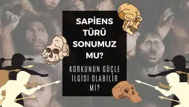 Sapiens Türü Sonumuz Mu? Doga Filozof Kapak 4