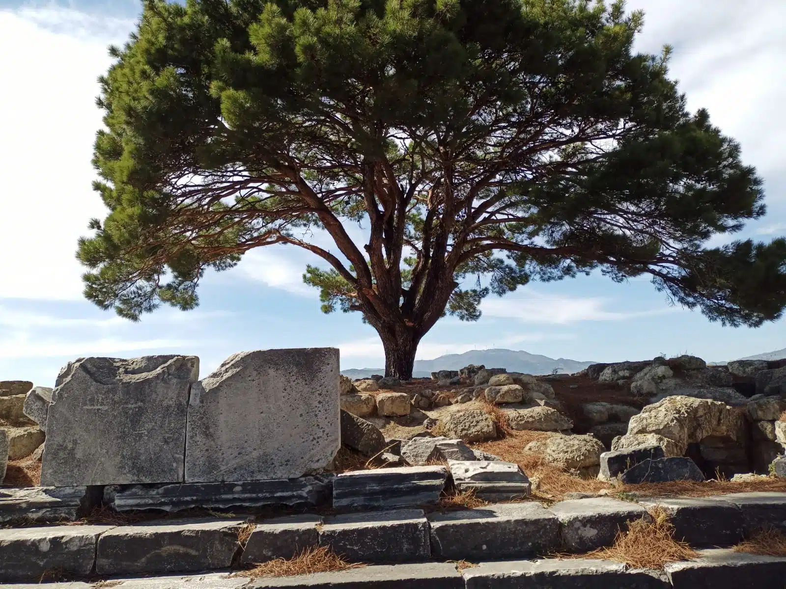 Bergama Zeus Tapınağı: Antik Dünya'nın Görkemli Mirası Bergama Zeus Sunagi