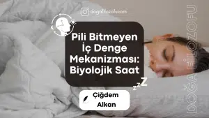Podcast Biyolojik Saat Kapak Gorseli