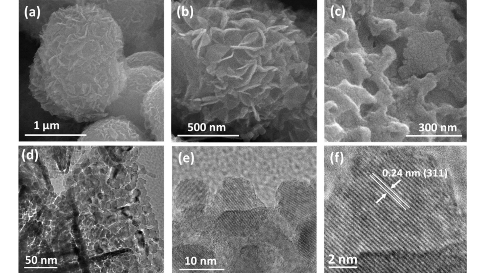Nanoteknoloji: Aşağıda Bolca Yer Var! Nanoparçacıkların Elektron Mikroskobundaki Görüntüsü