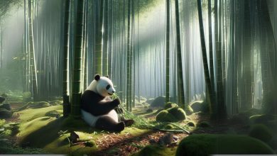 Sevimli Yaratıklar: Pandalar Pandalar