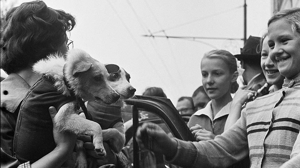 Uzay Köpekleri: Belka ve Strelka Ucustan sonra uzay kopekleri