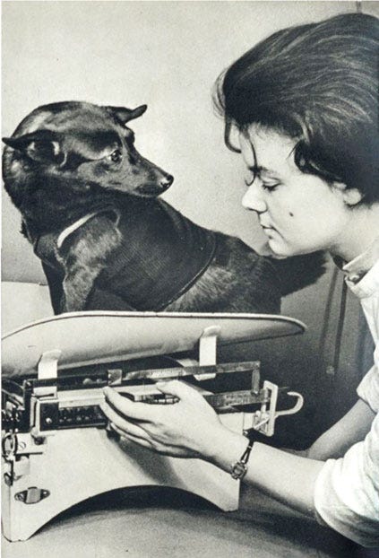 Uzay Köpekleri: Belka ve Strelka Uzay kopekleri icin test sureci