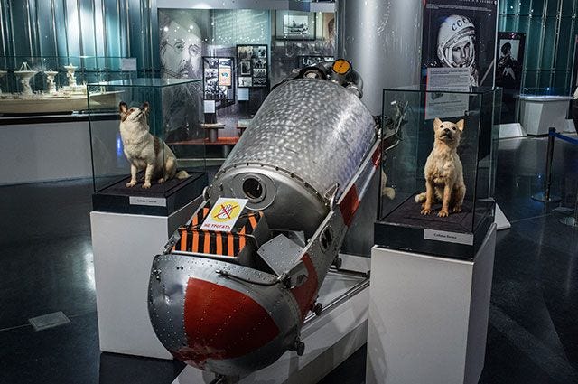 Uzay Köpekleri: Belka ve Strelka Uzay kopekleri ve Sputnik 5
