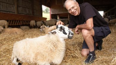 Peter Singer: Yaşayan En Etkili Filozof peter singer and animals 1