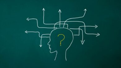 Kararlarımızın Arkasında Ne Var? Kararlarimizin Arkasindaki Sebep Nedir
