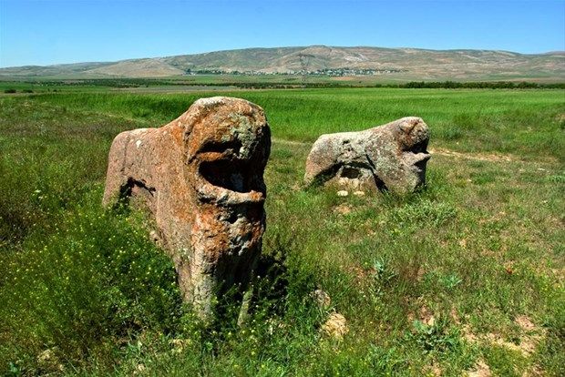 Bir Aslanın Mağara Duvarlarından Günümüze Olan Yolculuğu aslantas