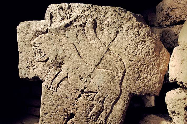 Bir Aslanın Mağara Duvarlarından Günümüze Olan Yolculuğu gobeklitepeaslan