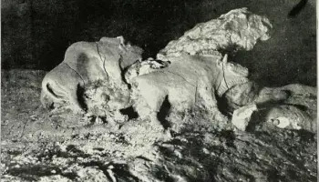 Bir Aslanın Mağara Duvarlarından Günümüze Olan Yolculuğu vogelherdmagarasi